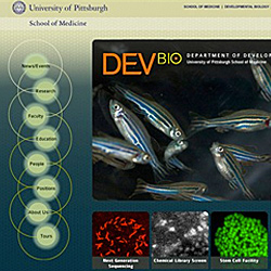 website designer Pittsburge university medical science biology