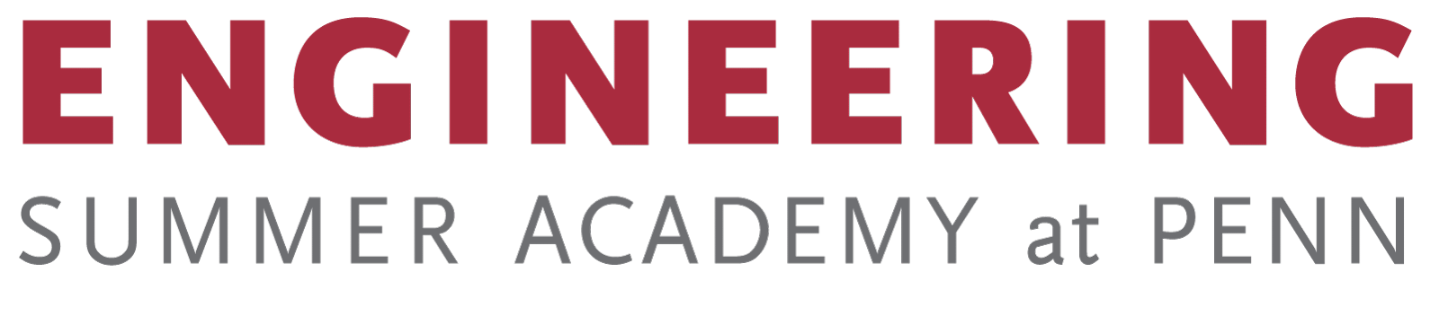 Design for Penn Engineering Summer Academy Logo