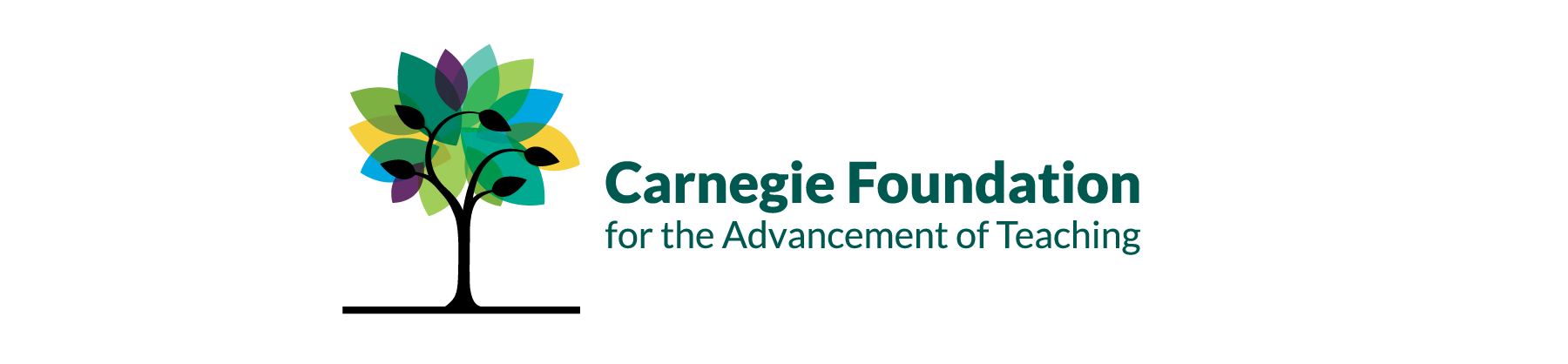 Carnegie Foundation Brand Design